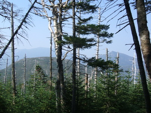 Appalachian Trail 