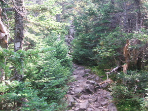 Appalachian Trail 