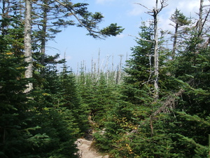 Appalachian Trail 