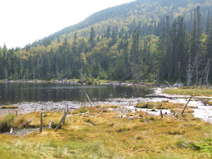 Appalachian Trail 