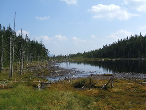 Appalachian Trail 