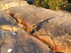 Appalachian Trail Sound Recording