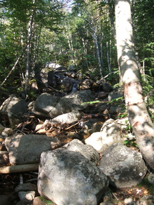 Appalachian Trail 