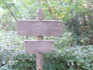 Appalachian Trail Ethan Pond Trail - mostly unreadable