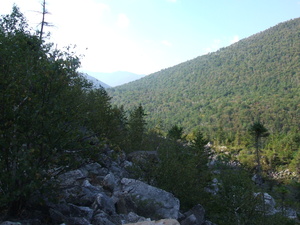 Appalachian Trail 