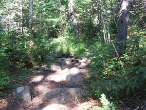 Appalachian Trail 