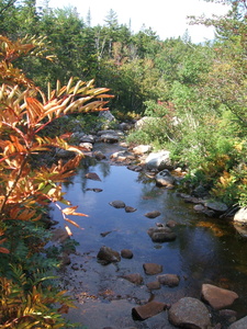 Appalachian Trail 