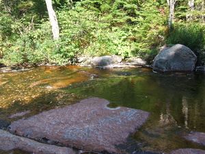 Appalachian Trail 