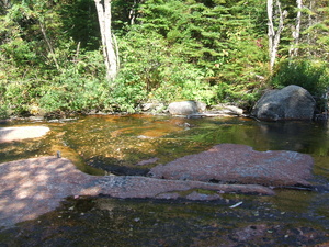 Appalachian Trail Sound Recording