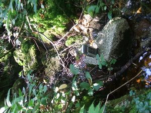 Appalachian Trail Sound Recording