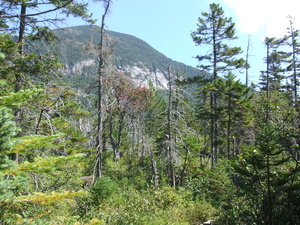 Appalachian Trail 