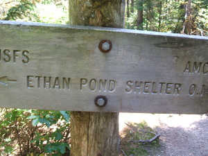 Appalachian Trail Ethan Pond Shelter, 0.1 miles