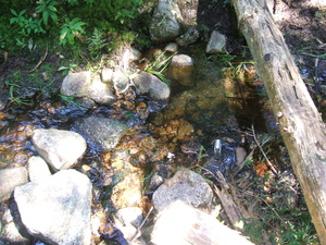 Appalachian Trail Sound Recording