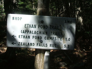 Appalachian Trail Ethan Pond Trail (AT), Ethan Pond Campsite back 1.0 miles 