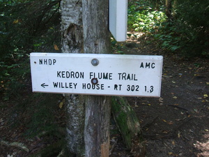 Appalachian Trail Kedron Flum Trail, Route 302 1.3 miles