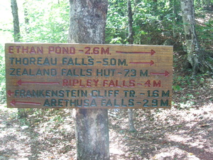 Appalachian Trail Ethan Pond  2.6 miles, Arethusa Falls 2.9 miles