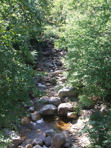 Appalachian Trail 