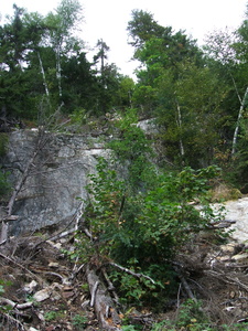 Appalachian Trail 