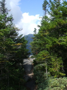 Appalachian Trail 