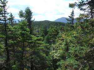 Appalachian Trail 