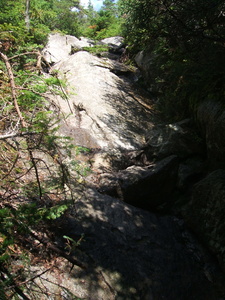 Appalachian Trail Webster Cliff Trail, Crawford Path 2.6 miles