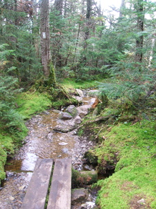 Appalachian Trail 