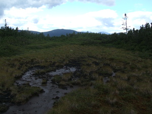 Appalachian Trail 