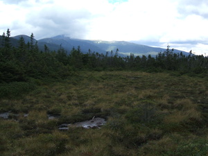 Appalachian Trail 