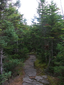 Appalachian Trail 