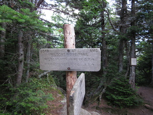Appalachian Trail Wildcat Ridge Trail