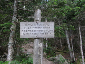Appalachian Trail 19 Mile Brook Trail