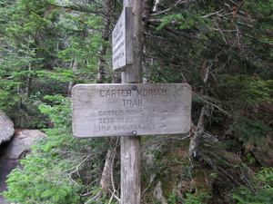 Appalachian Trail Carter Moriah Trail