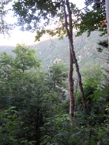 Appalachian Trail 