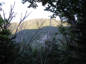 Appalachian Trail Wildcat Ridge