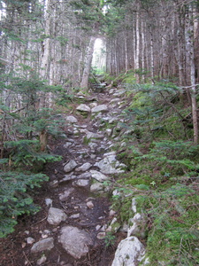 Appalachian Trail 