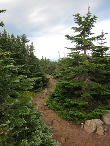 Appalachian Trail 