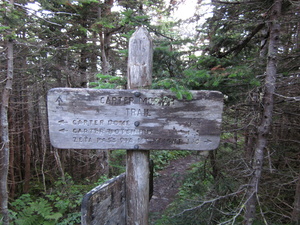 Appalachian Trail Carter Moriah Trail