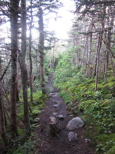 Appalachian Trail 