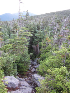 Appalachian Trail 