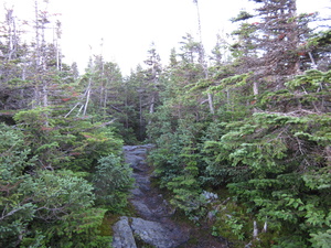 Appalachian Trail 