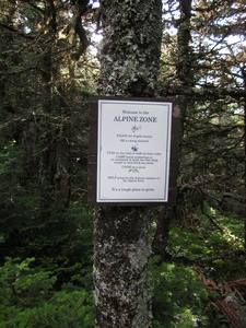 Appalachian Trail Alpine Zone