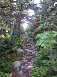 Appalachian Trail 