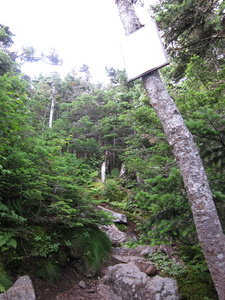 Appalachian Trail 