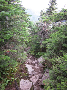 Appalachian Trail 