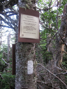 Appalachian Trail Forest Protection Area & Blaze