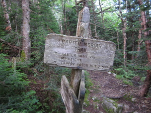 Appalachian Trail Carter Moriah Trail