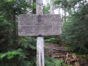 Appalachian Trail Carter Moriah Trail