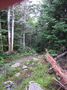 Appalachian Trail 