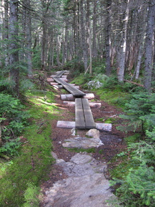 Appalachian Trail 