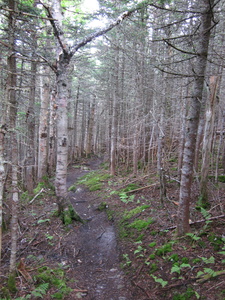 Appalachian Trail 